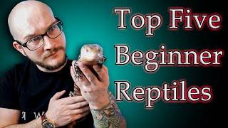 Top 5 Best Beginner Reptiles