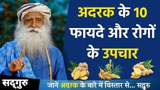 अदरक के 10 फायदे और रोगों के उपचार? 10 benefits of ginger and treatment of diseases? Sadhguru Hindi