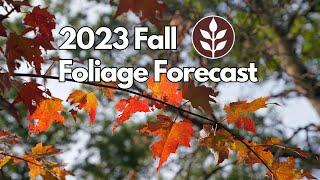 2023 Foliage Forecast