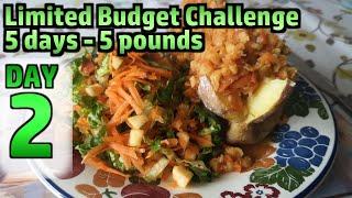 Limited Budget Challenge - £5 for 5 Days - DAY 2