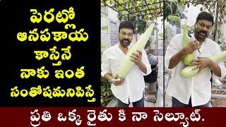 Bottle Gourd with Chiranjeevi  పెరట్లో ఆనపకాయ కాస్తేనే నాకు ఇంత సంతోషమనిపిస్