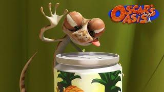 Thirsty Oscar needs Juice  Oscar’s Oasis  Funny Cartoons for Kids