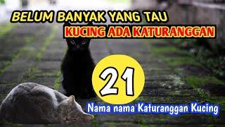 Nama nama katuranggan kucing