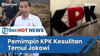 Respons Istana soal Keluhan Pemimpin KPK Sulit Temui Presiden Jokowi