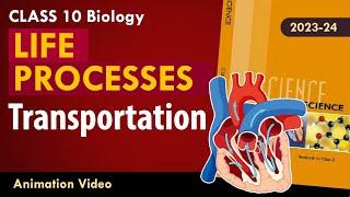 Life process class 10 Animated video  10th BIOLOGY  ncert #science  Chapter 7 #transportation