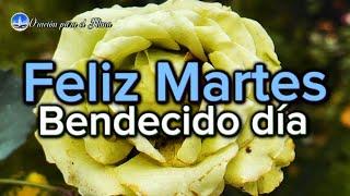 Buenos días Feliz martes Bendecido día para ti abre este lindo mensaje