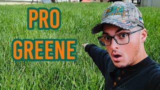 How to get a PRO level Green Lawn  N-Ext™ DIY Lawn Care Tips