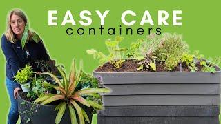 Containers to please a crowd  Herbs + poolside tropicals