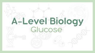 Glucose  Alpha vs Beta Glucose  A-Level Biology AQA OCR Edexcel