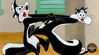 Pepe Le Pew & Penelope Pussycat  Full Compilation
