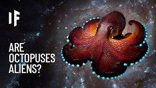 What If Octopuses Are Aliens from Outer Space?