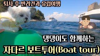 퇴사 후 반려견과 유럽여행 댕댕이도 함께하는 자다르 보트 투어Boat tour in Zadar with a dog 크로아티아 여행 자다르 한달 살기