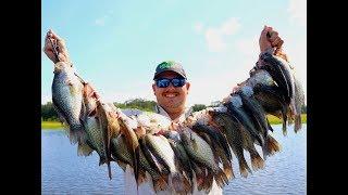 UNBELIEVABLE Crappie Fishing Trip SO MANY GIANT CRAPPIE