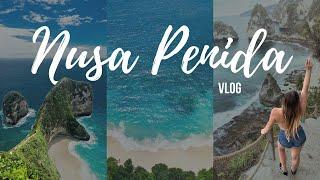 NUSA PENIDA  Reisevlog & meine Tipps #bali 