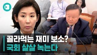 이것이 뷔페보수의 진수? 자유한국당의 국회 골라먹는 재미  비디오머그