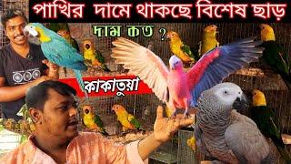 কাকাতুয়া গ্রে প্যারট মাকাও অবিশ্বাস্য পাখিMacaw parrot price in India #viral #4k