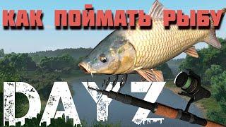 Dayz рыбалка как рыбачить в Standalone