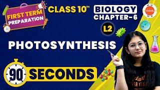 Photosynthesis in Life Processes  CBSE Class 10 Biology  NCERT Class 10 Chapter 6 Science