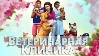 Ветеринарная клиника КітПес   The Sims 4 КОШКИ И СОБАКИ