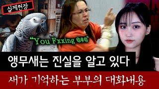 피튀기는 살인현장 앵무새가 기억하는 대화내용으로 범인을 검거한 특이한 사건  토요미스테리 #디바달리아