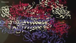 Sonification of the spike protein