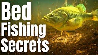 Start Catching MORE BASS Off The Bed With These 3 Tactics The Bass Spawn