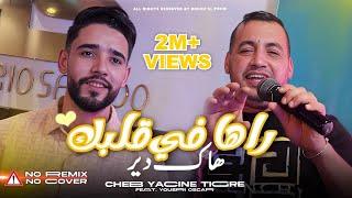 Yacine Tigre x Yousri - Raha Fi Galbek Hak Dir  Official Music Video  2024 