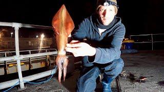 SQUID FISHING  A SESSION TO FORGET BUT A MEAL TO REMEMBER  CATCH & COOK