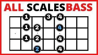  Bass Guitar Scales for Beginners 【All You Need to Know】 Bass Scales Patterns