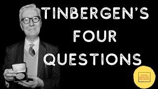 Tinbergens Four Questions