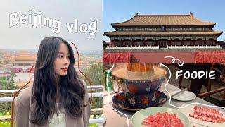 vlog46 北京之旅｜最好吃的烤鴨、炸醬面、吃貨之旅！Beijing VLOG。上