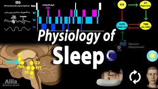 Sleep Physiology Animation