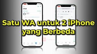 Cara Menggunakan 1 WhatsApp di 2 Hp iPhone 1 Nomor WA 2 iPhone