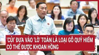 Đại biểu Quốc hội đề xuất ‘củi’ đưa vào ‘lò’ toàn là loại gỗ quý hiếm có thể được khoan hồng