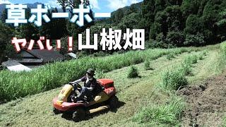 夏本番！草ボーボーの山椒畑をHeyMasaoで刈る