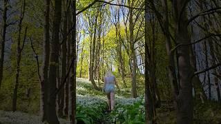 I love this time of year ️ #woodland #wildgarlic #forest