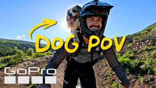 GoPro Mountain Games  A Dogs Perspective