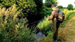 Evening Session Catching Perch On Lures