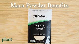 Maca Powder Superfood Benefits