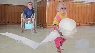 So funny cute Monkey Su secretly stole Kukus paper when pooping