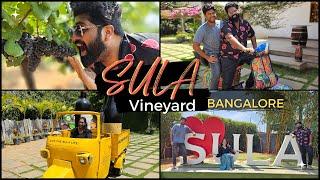 Sula Vineyard Tour  - Bangalore  Wine Tasting  Vineyard  Restaurant - Best Day Outing For Family