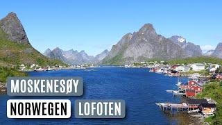  Lofoten • Moskenesøy • Hiking beyond the polar circle in Norway