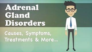 Adrenal Gland Disorders - Causes Symptoms Treatments & More…