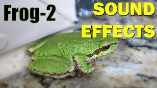 Frog Sound #2  Sound Effects