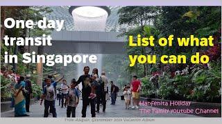 One day transit in Singapore  Jewel Changi  Kinetic Rain and Durian Musang King