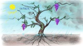 The Vine and the Branches  John 151-15