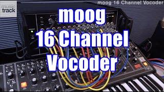 moog 16 Channel Vocoder Demo & Review