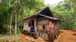 Alhamdulillah Ada Rezeki Buat Emak Yang Tinggal Menyendiri Di Pinggir Hutan