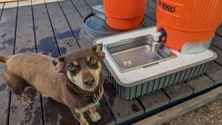 Insulated Dog Watering Station