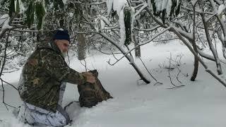 Northeast Blizzard??-Just West Virginia Nature # WestVirginia#blizzard#snow#nature#hiking#sasquatch